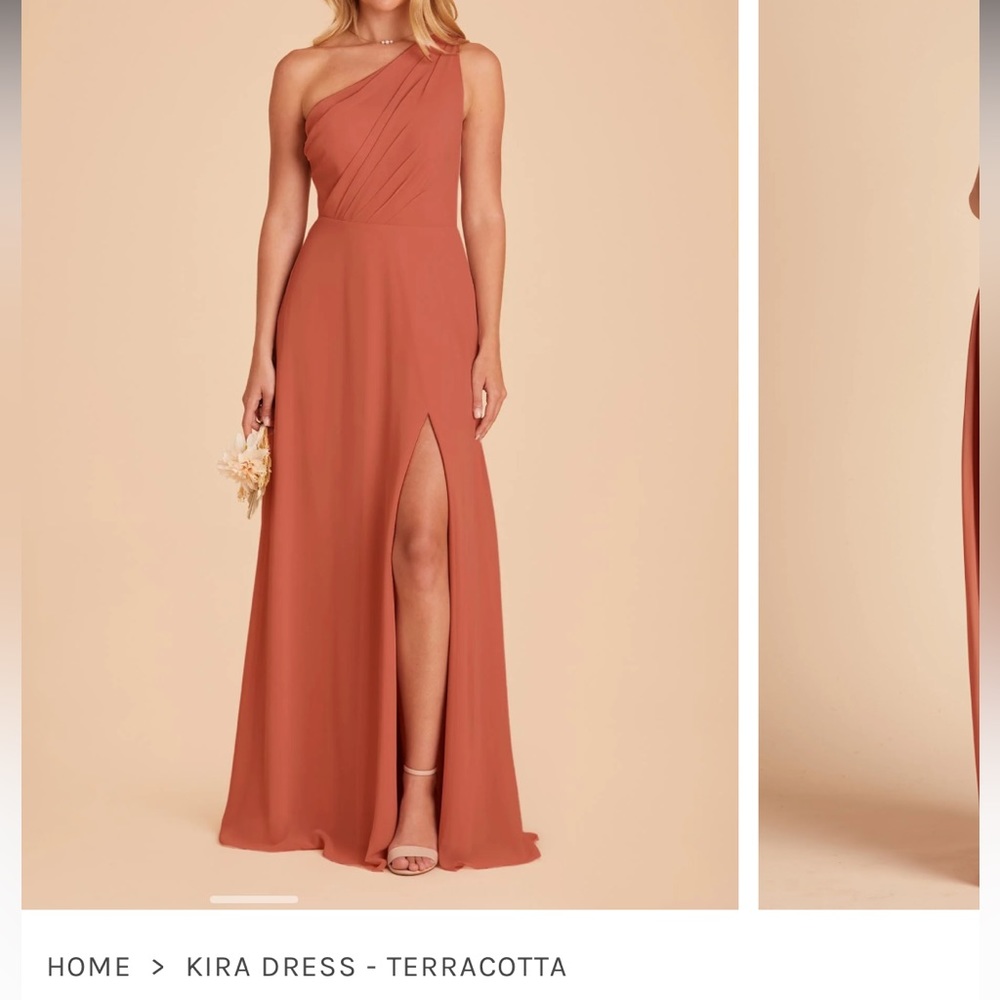 Birdy Grey Kira Dress Terracotta